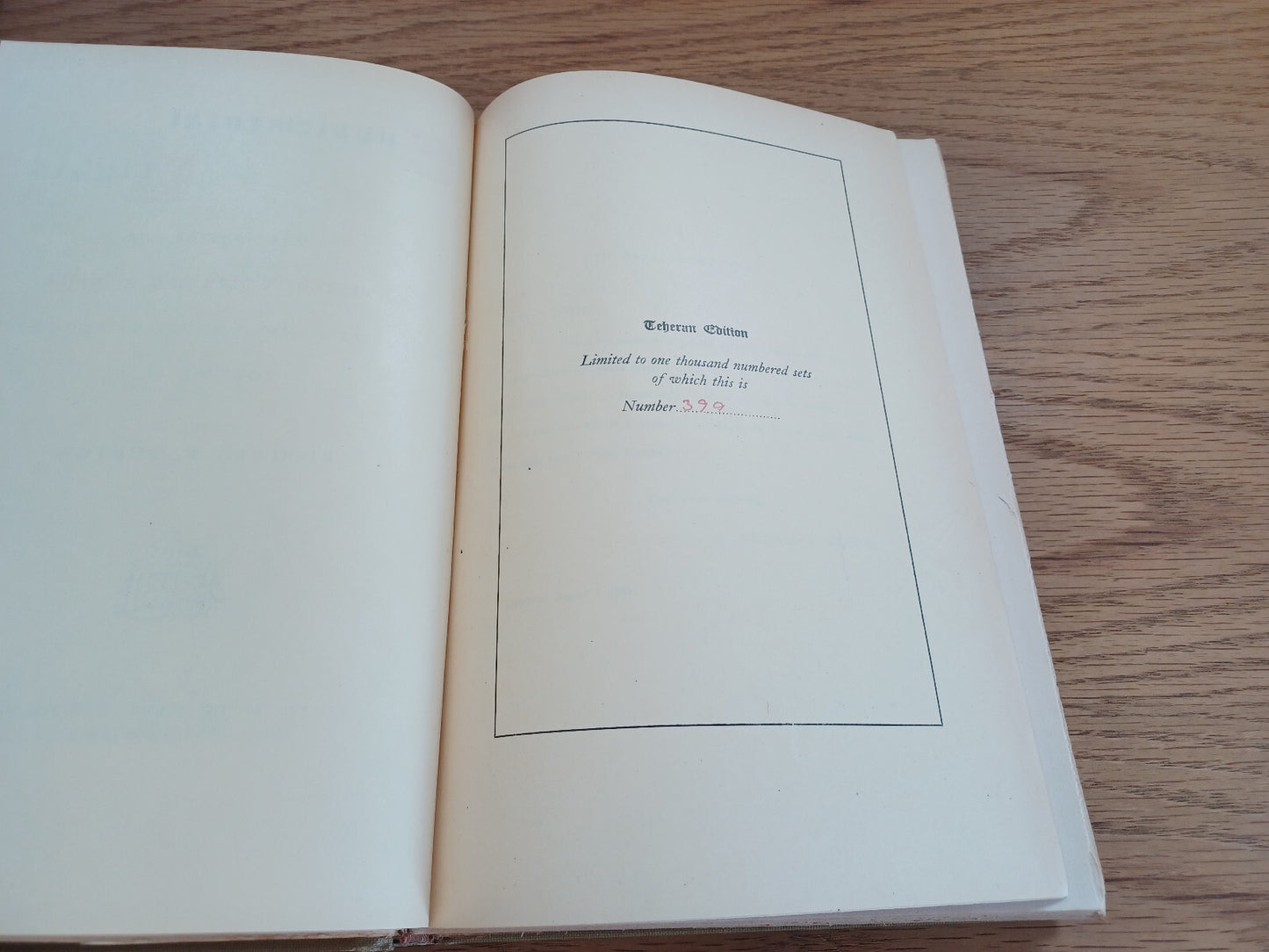 Image #8
