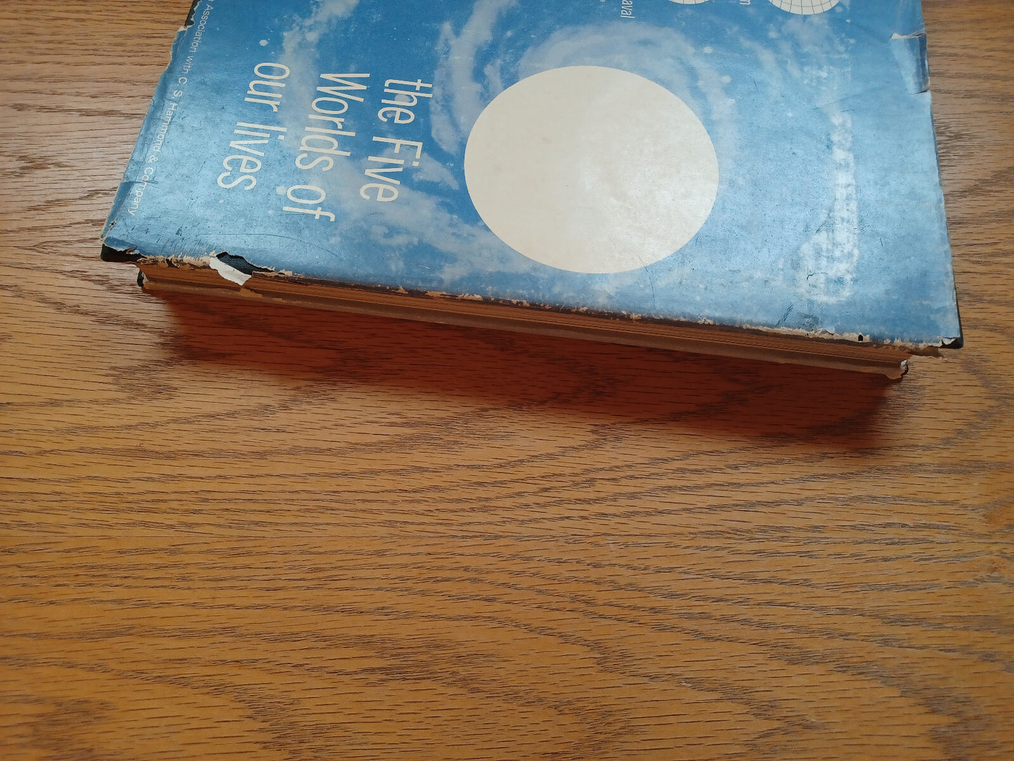 Image #3