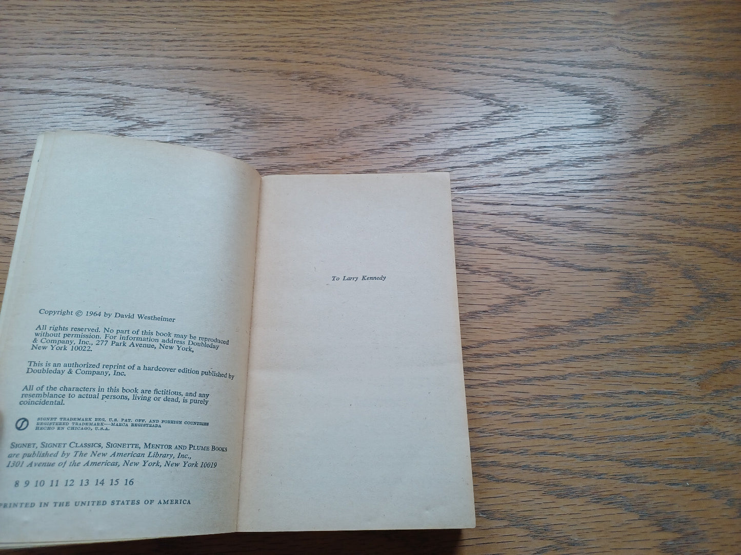 Image #8