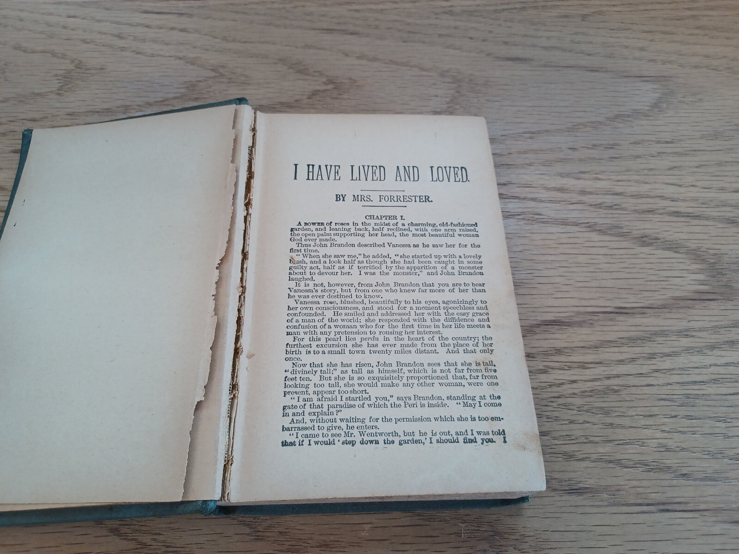 Image #8