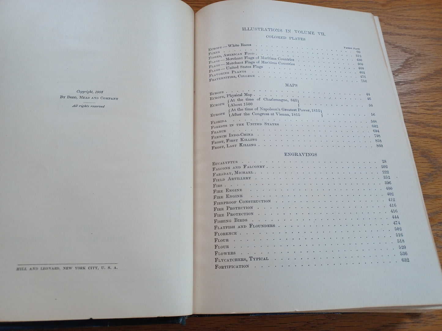 Image #8