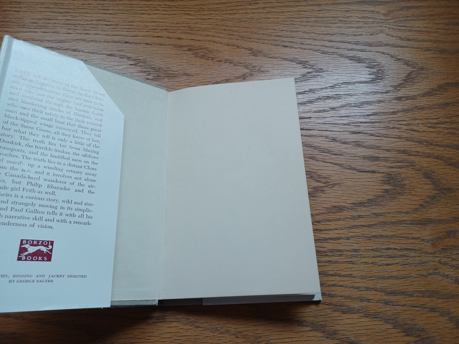 Image #7