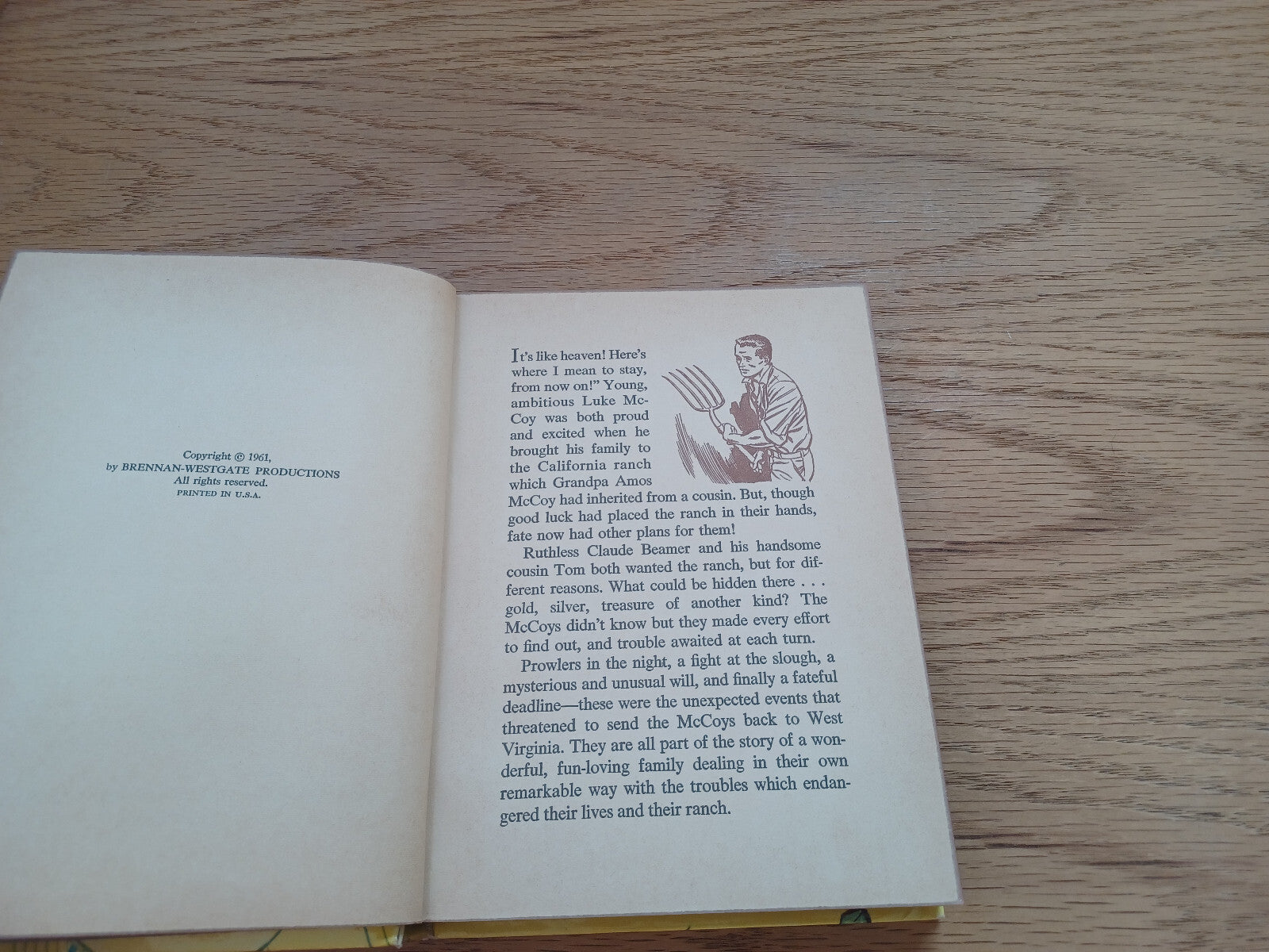 Image #8