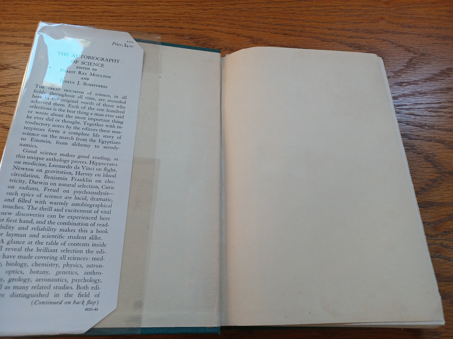 Image #7