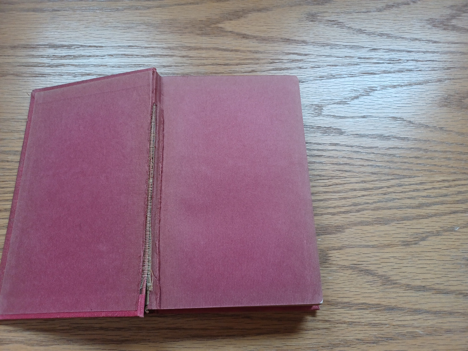 Image #7