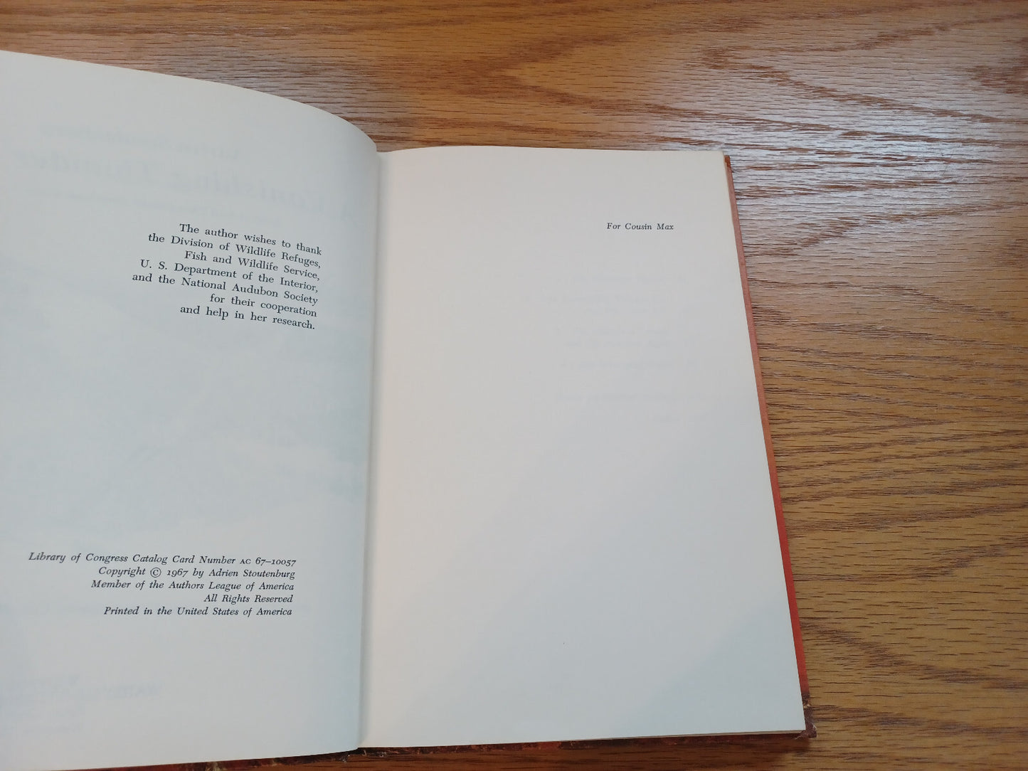 Image #8