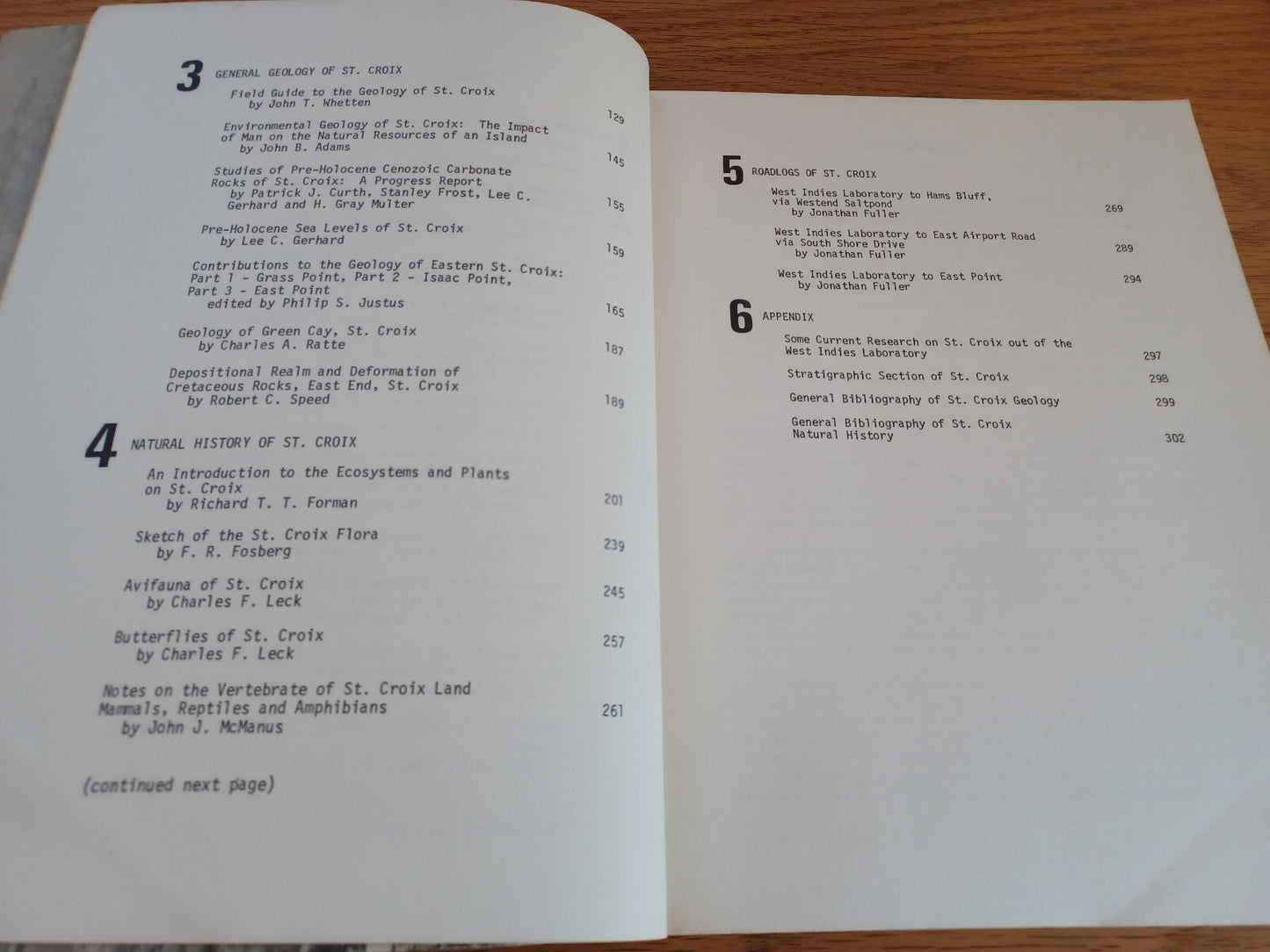Image #10