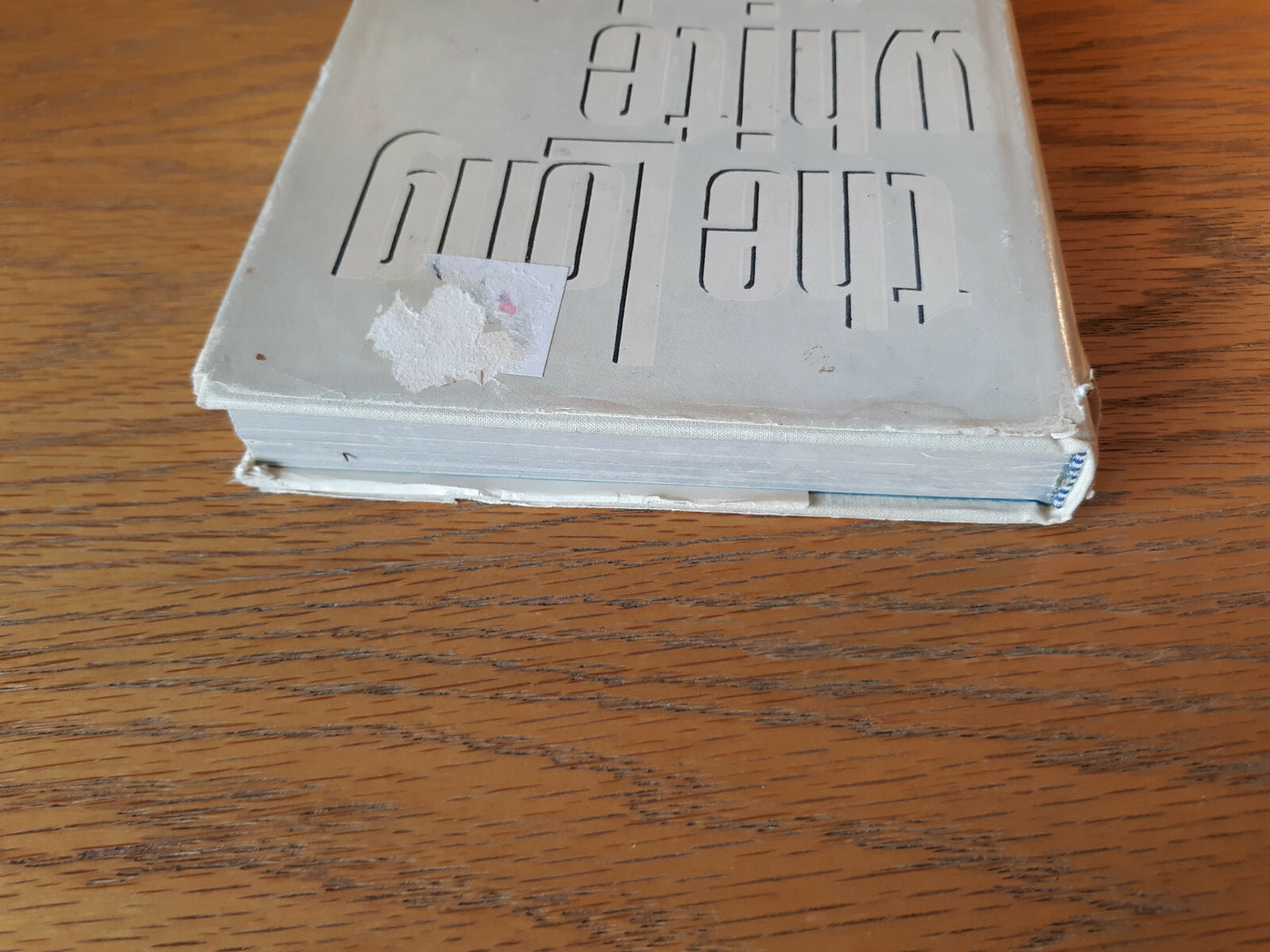 Image #4