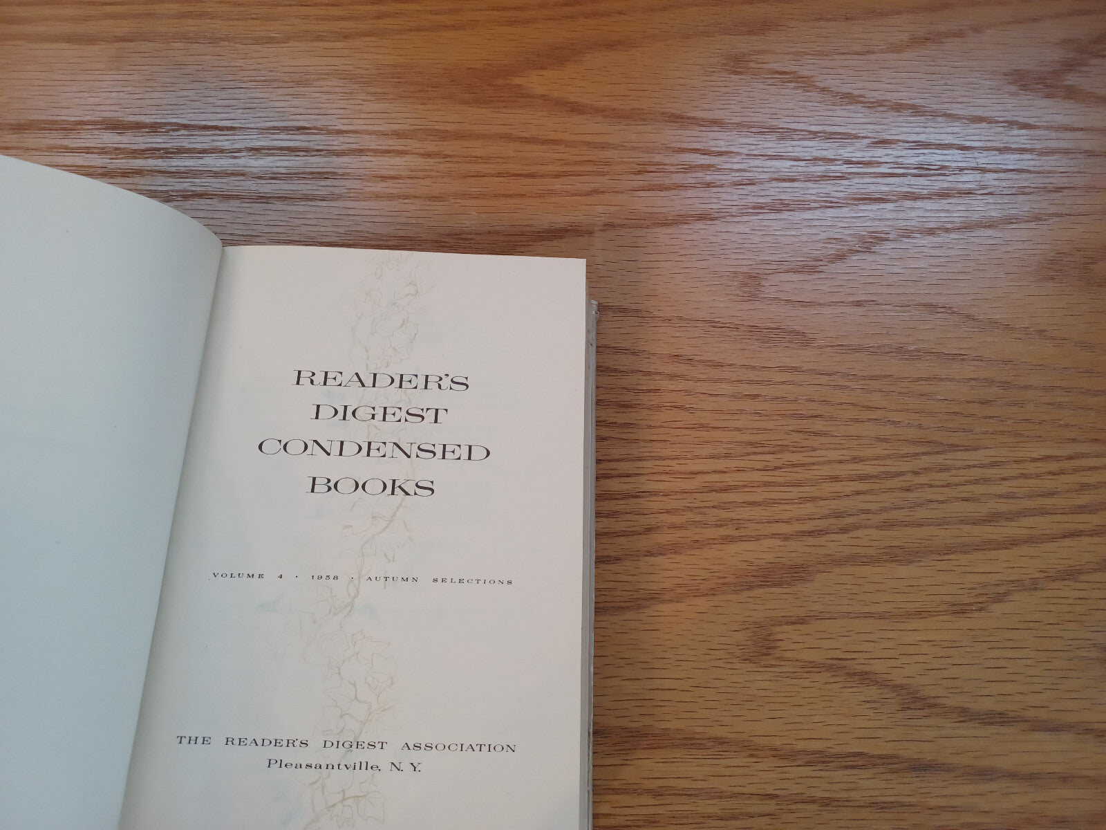 Image #8