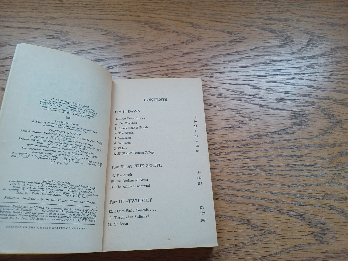 Image #8