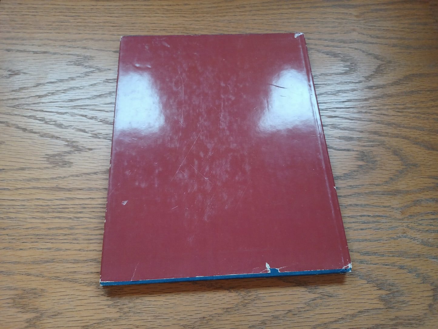 Image #6