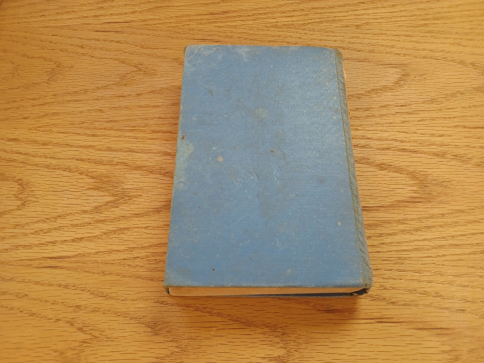 Image #6