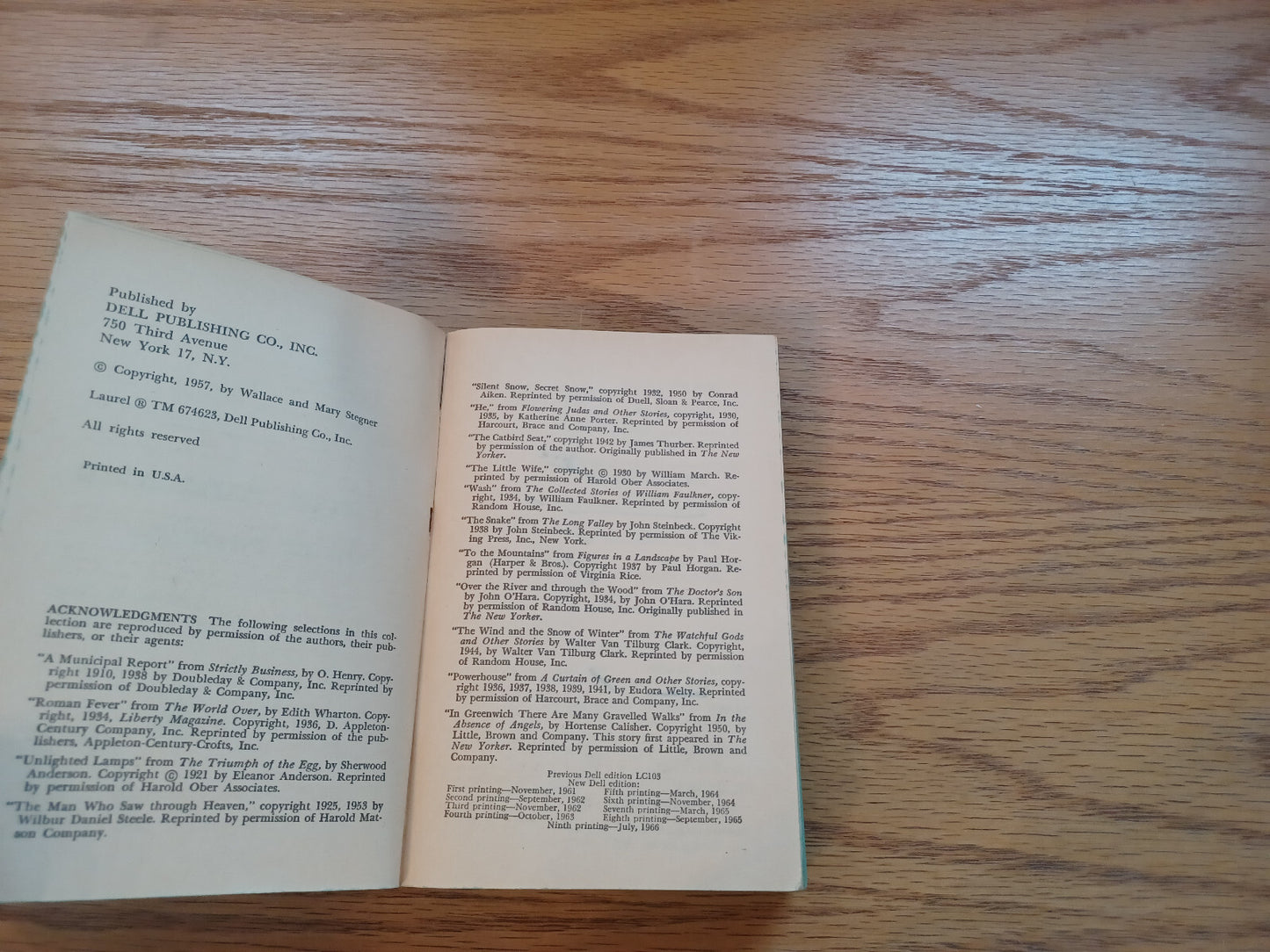 Image #8