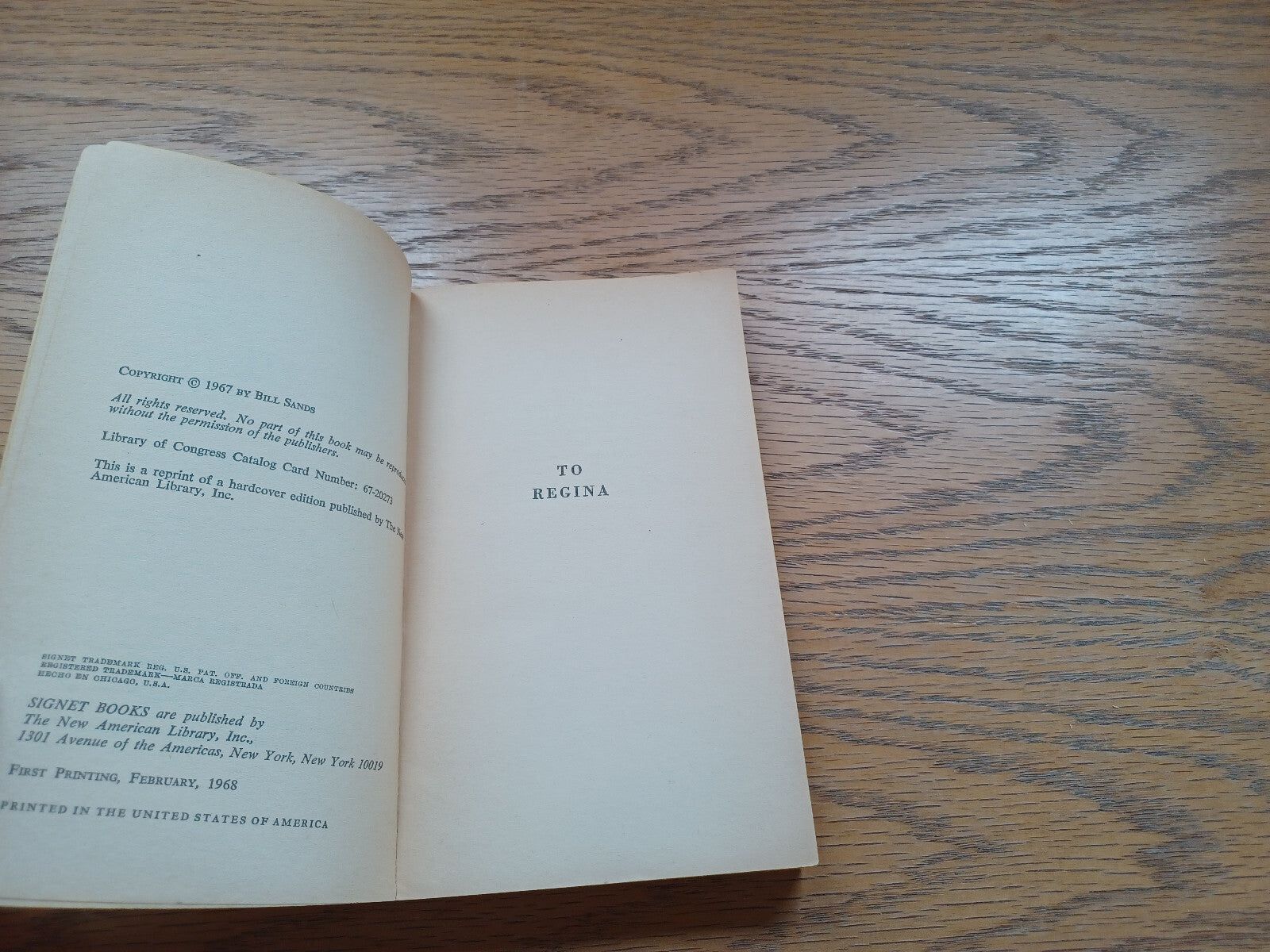 Image #8