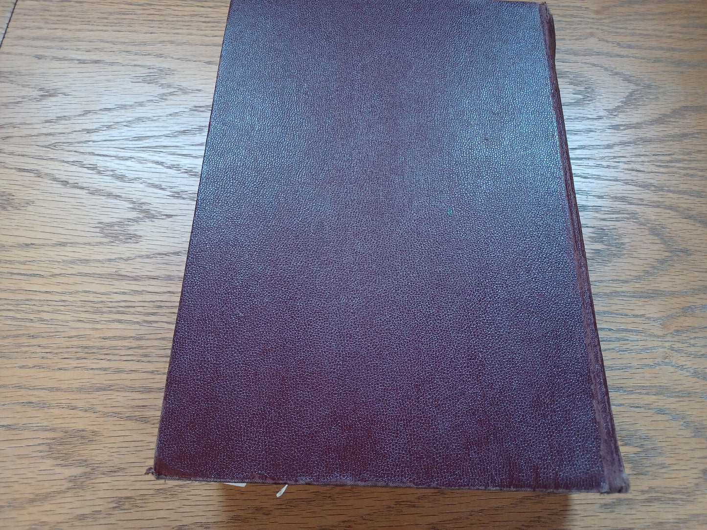 Image #6