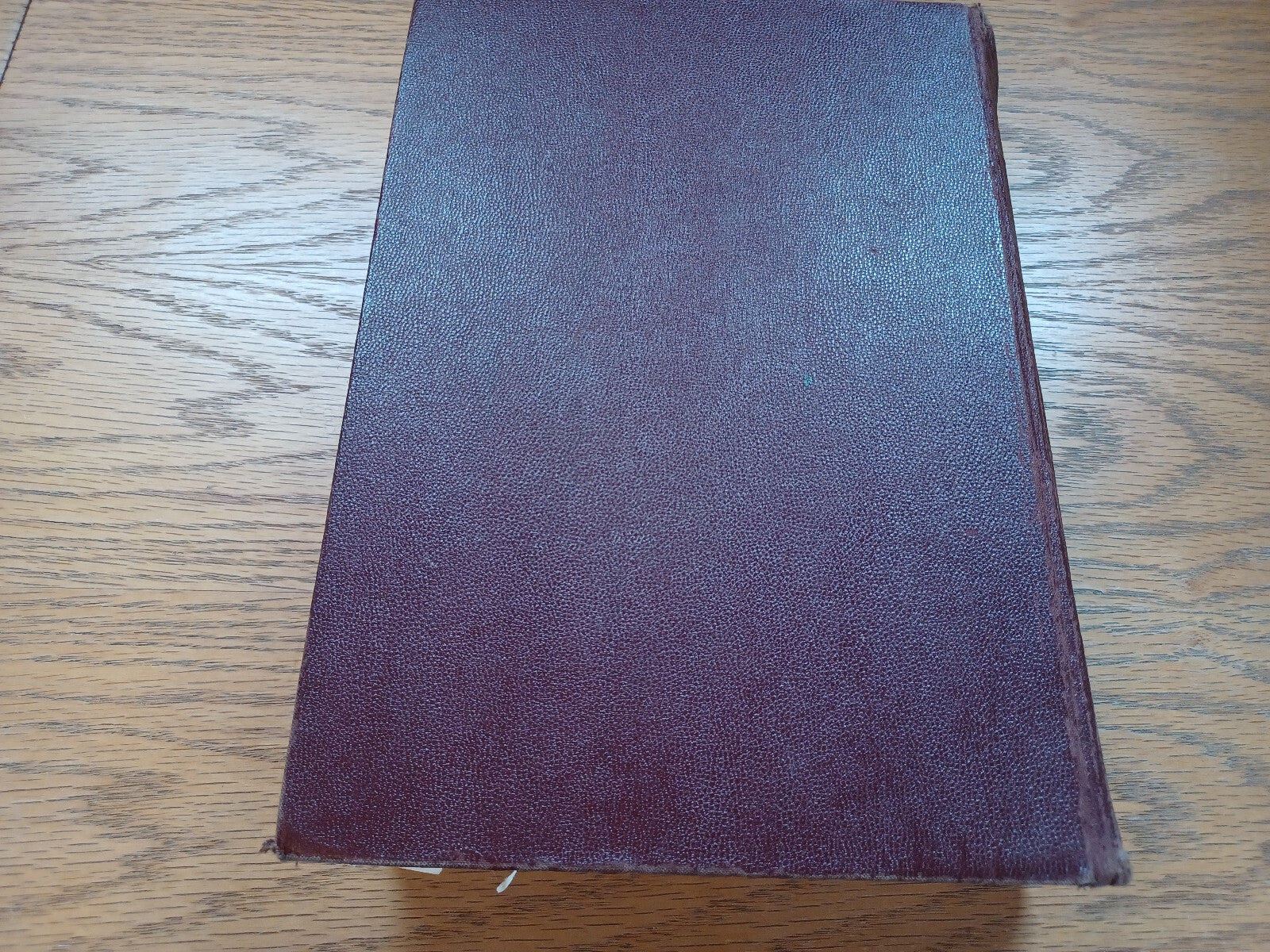 Image #6