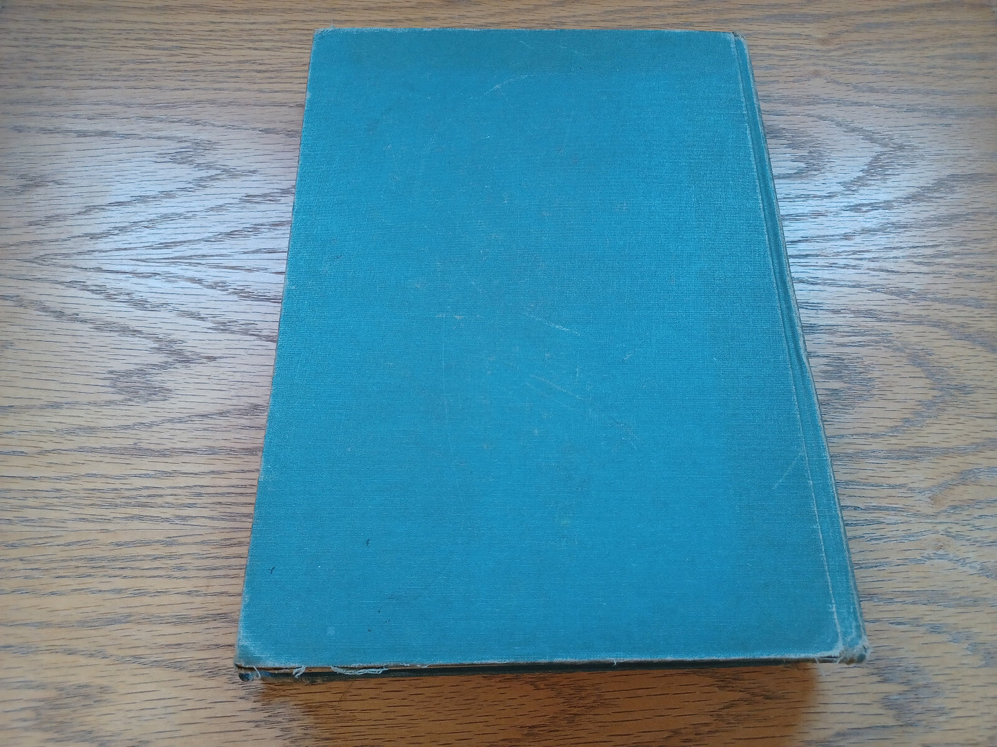 Image #6