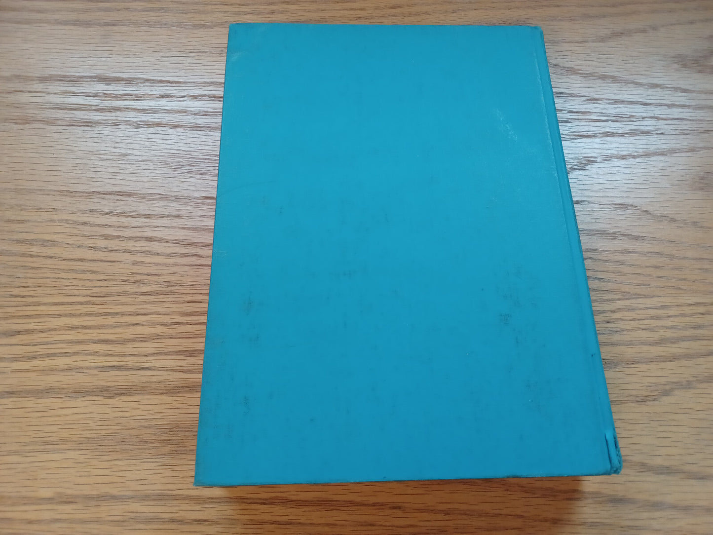 Image #6