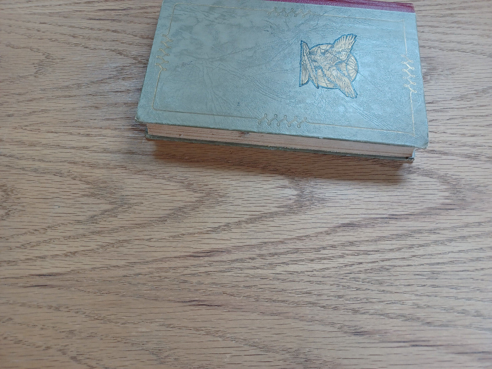 Image #3