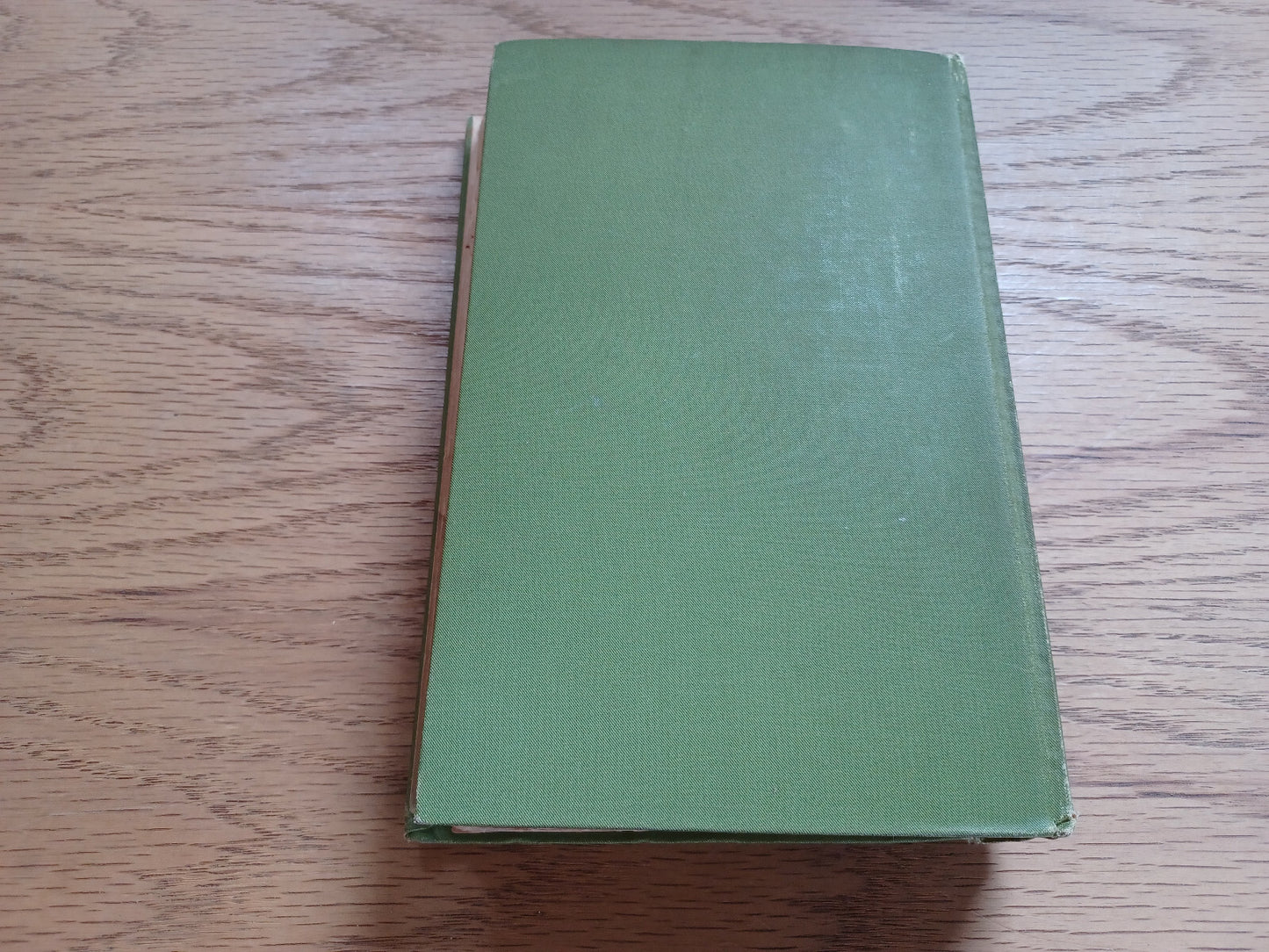 Image #6