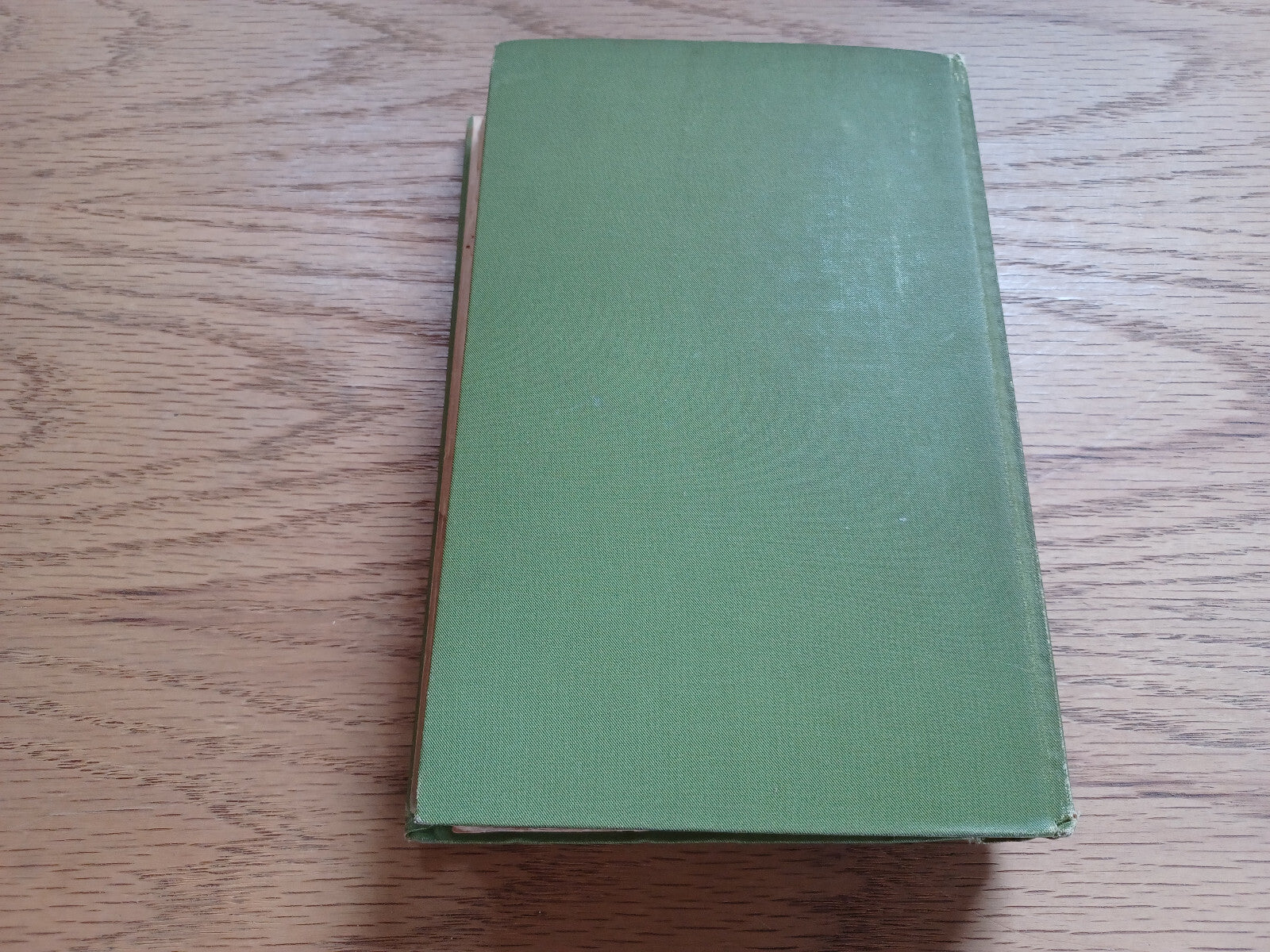 Image #6