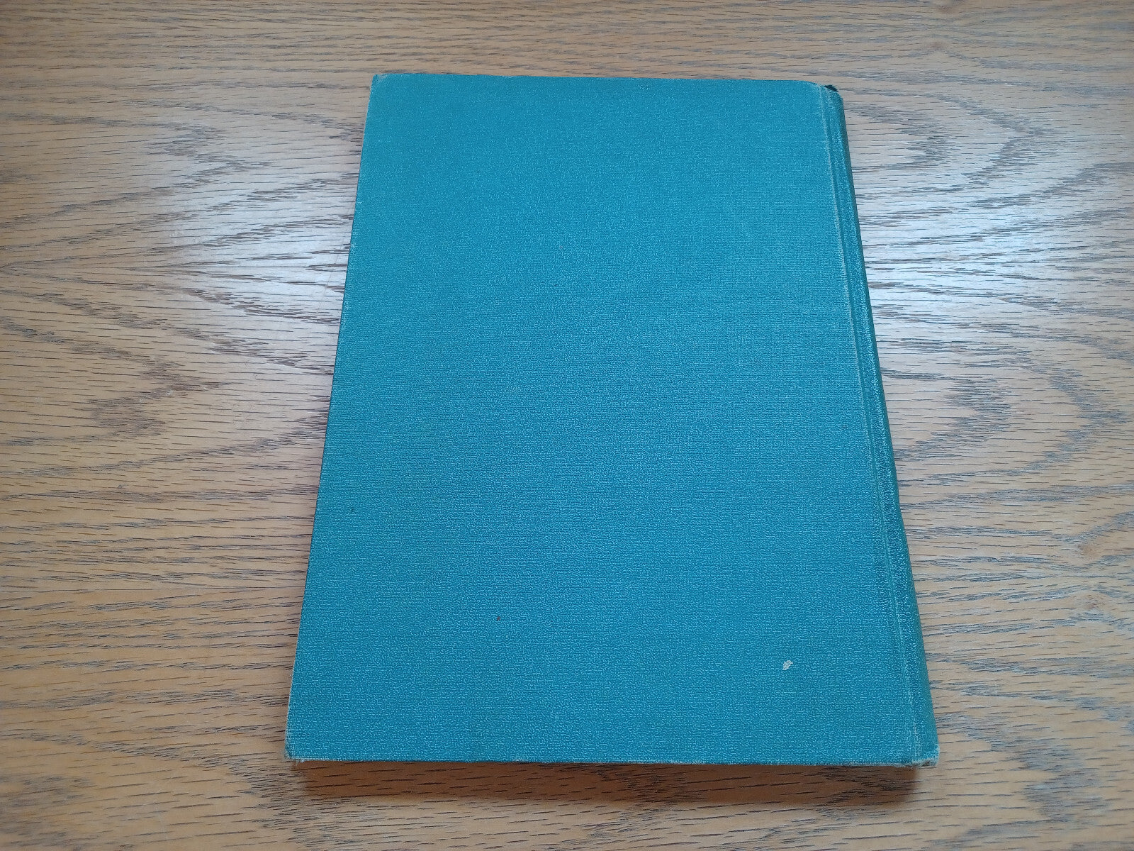 Image #6