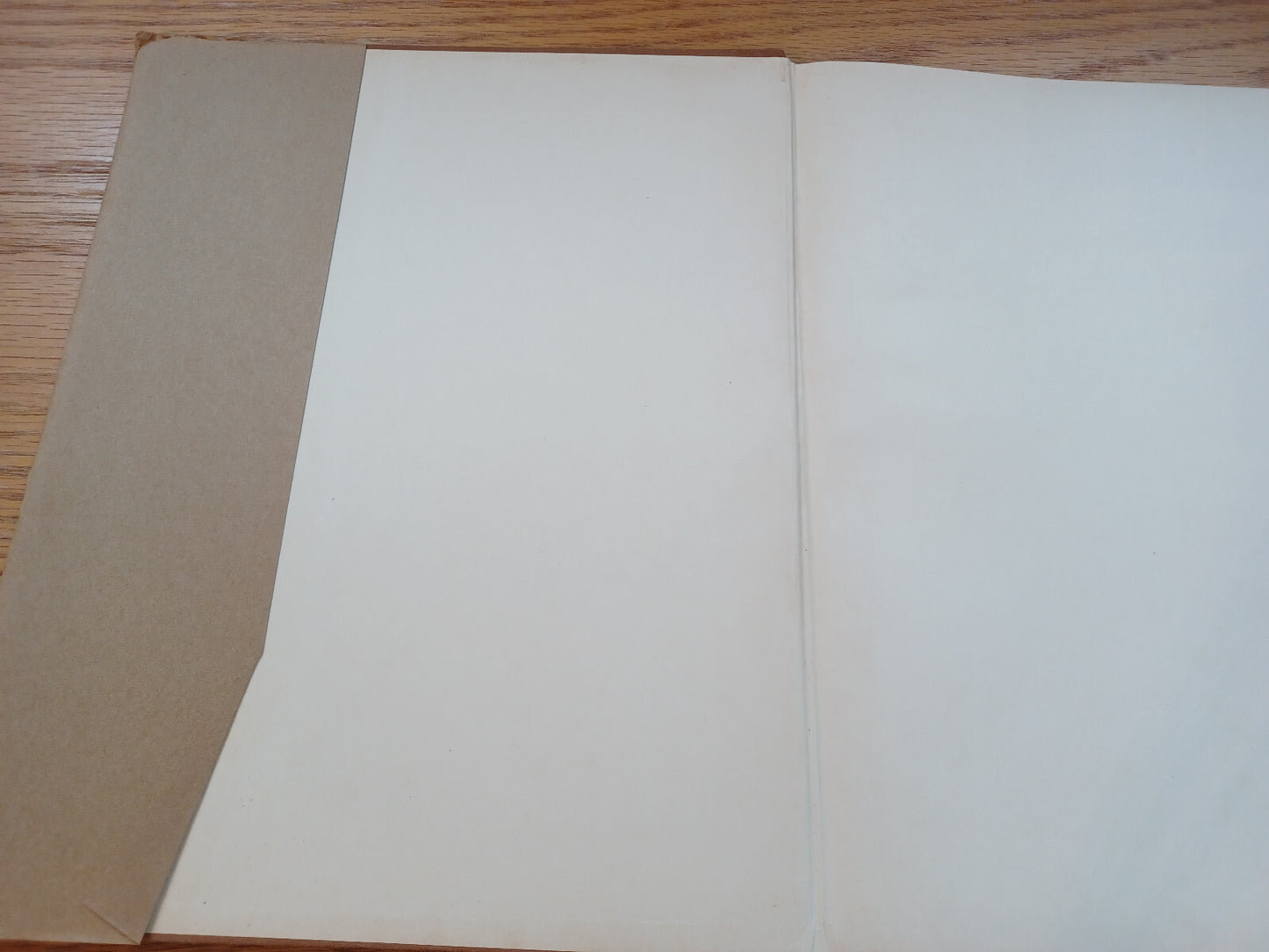 Image #7