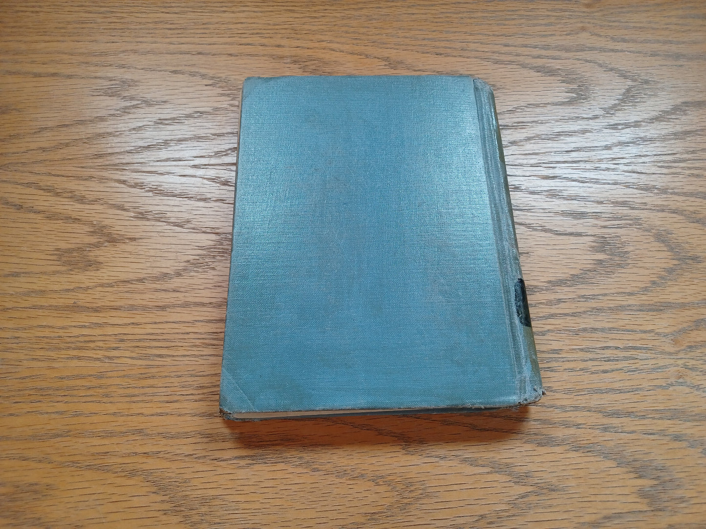 Image #6