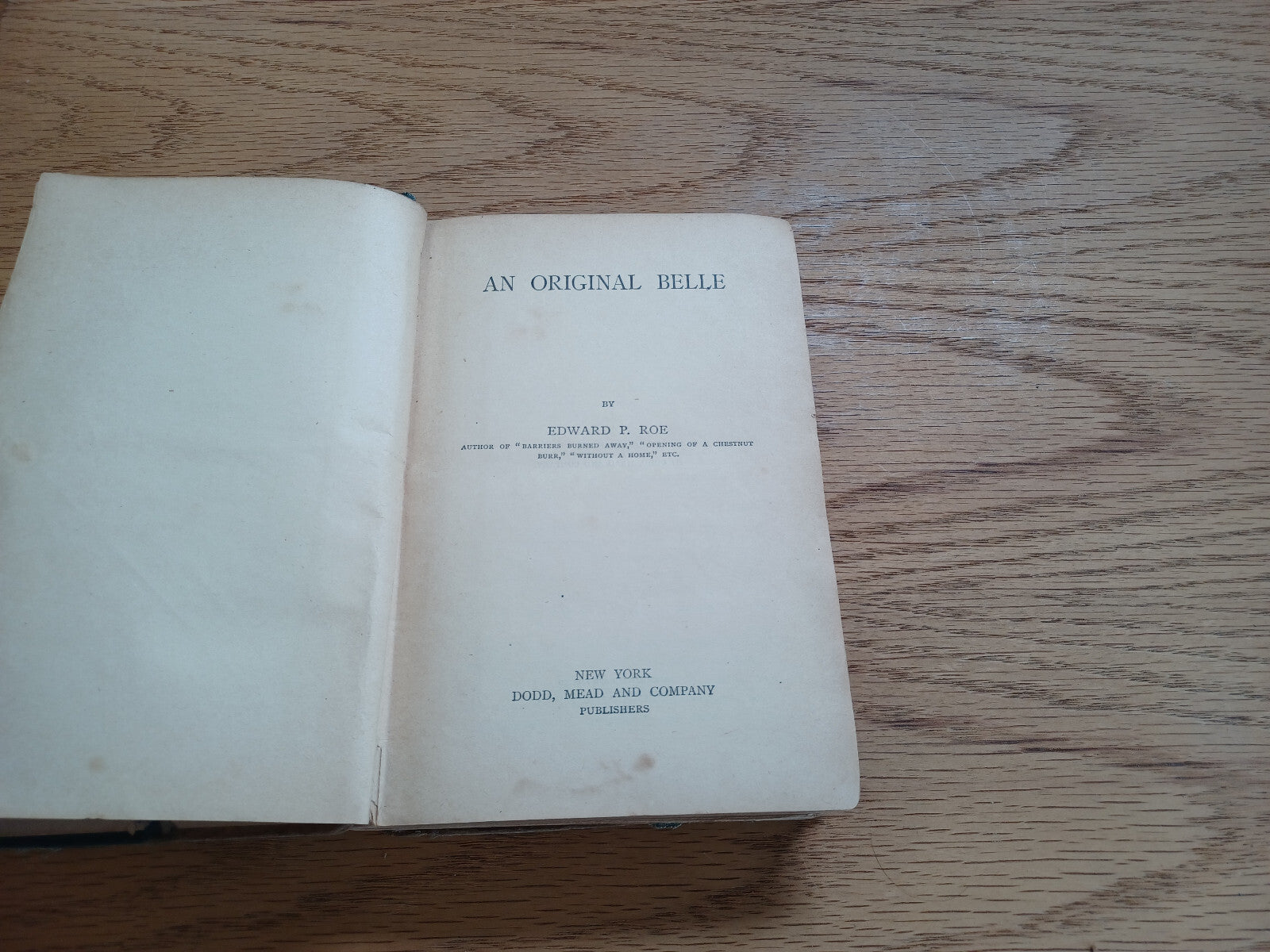 Image #8