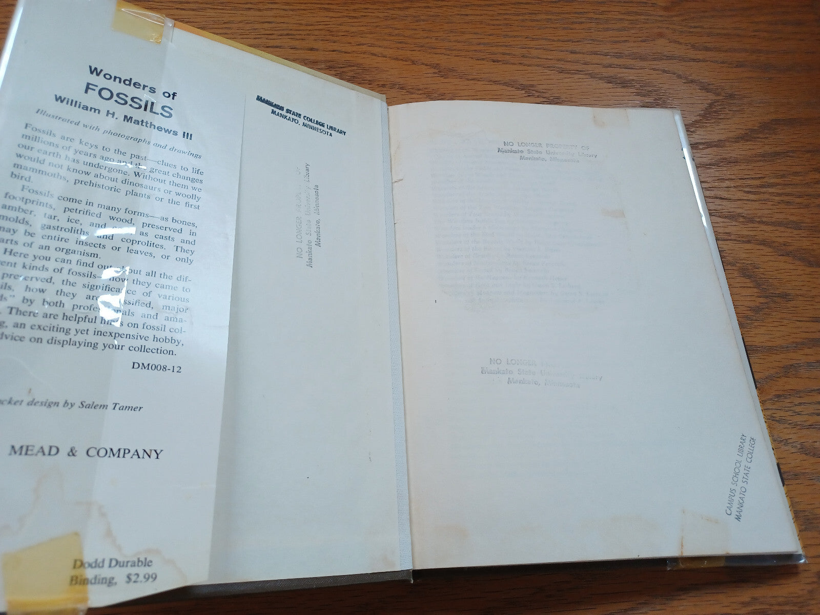Image #7