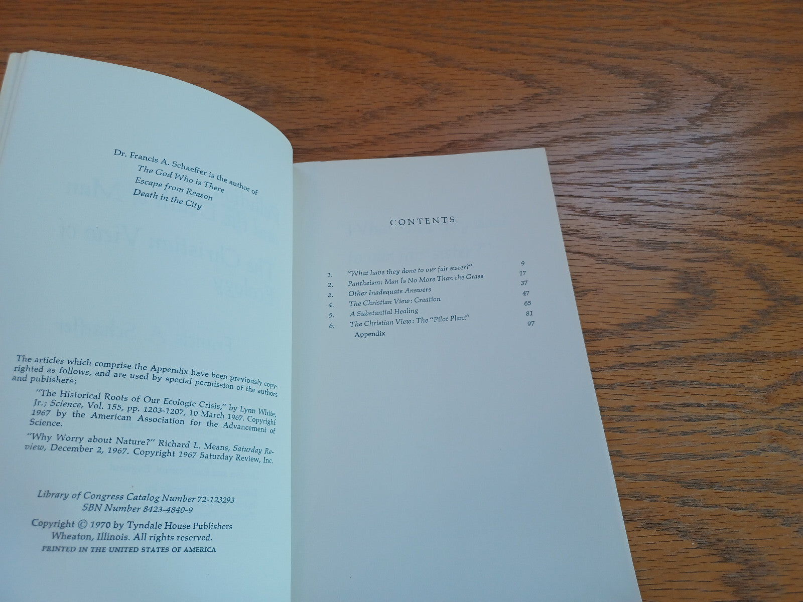 Image #8