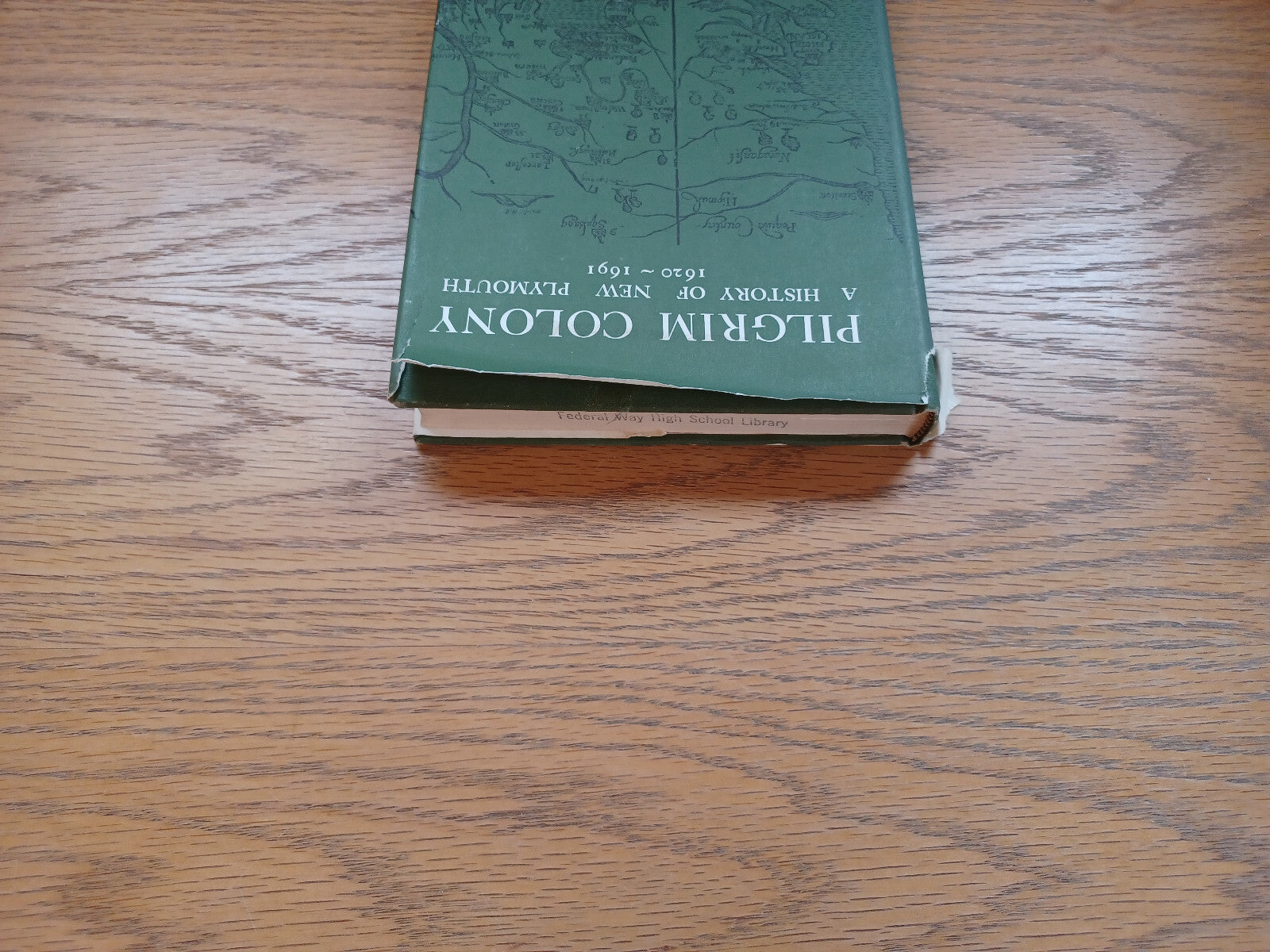 Image #4