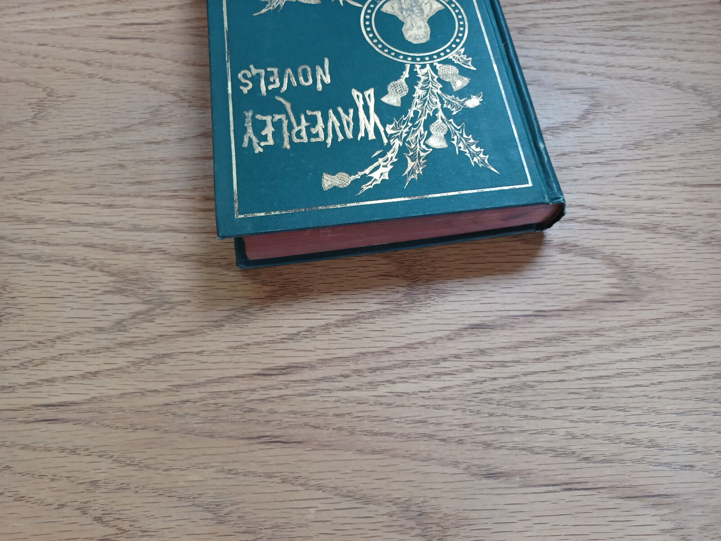 Image #4