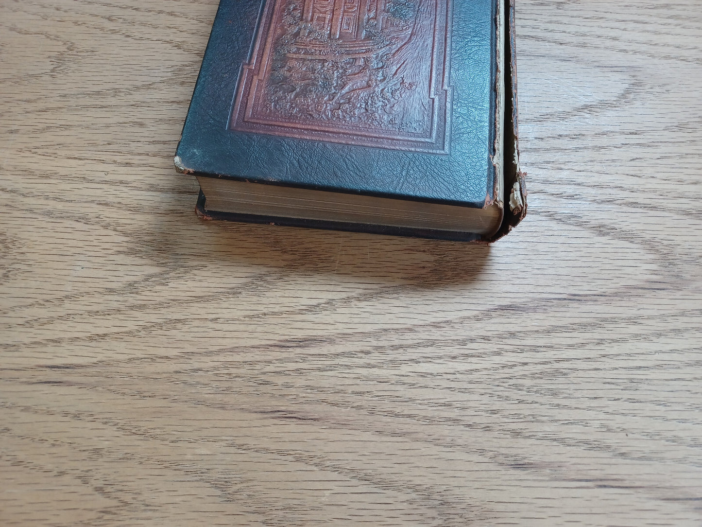 Image #4