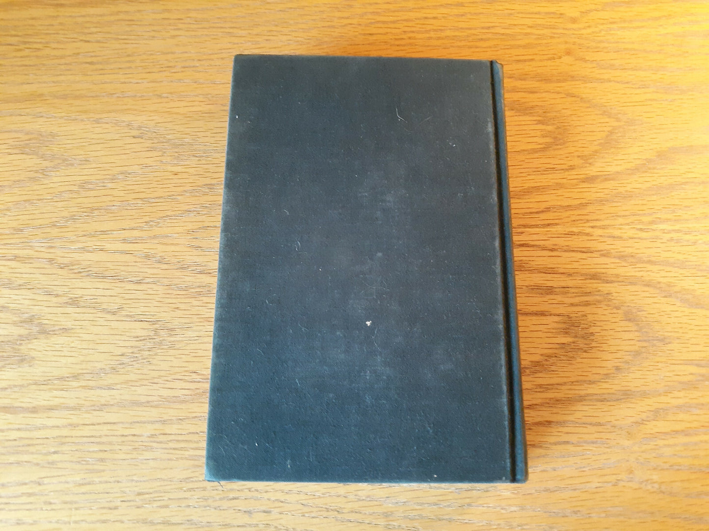 Image #6