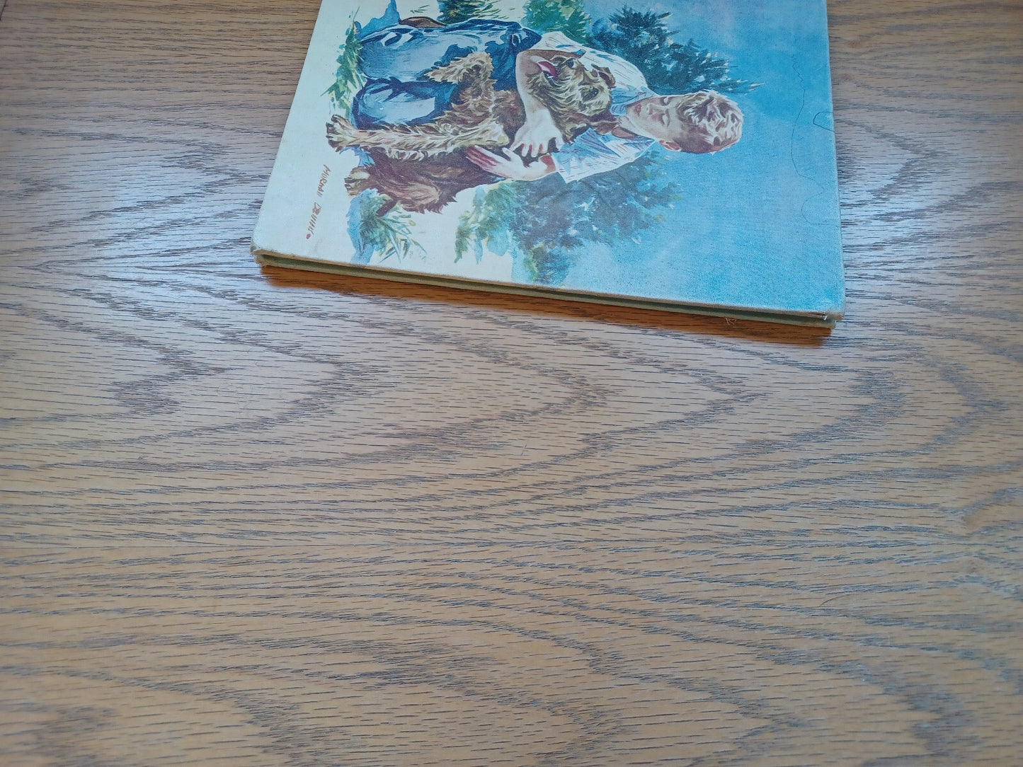 Image #3