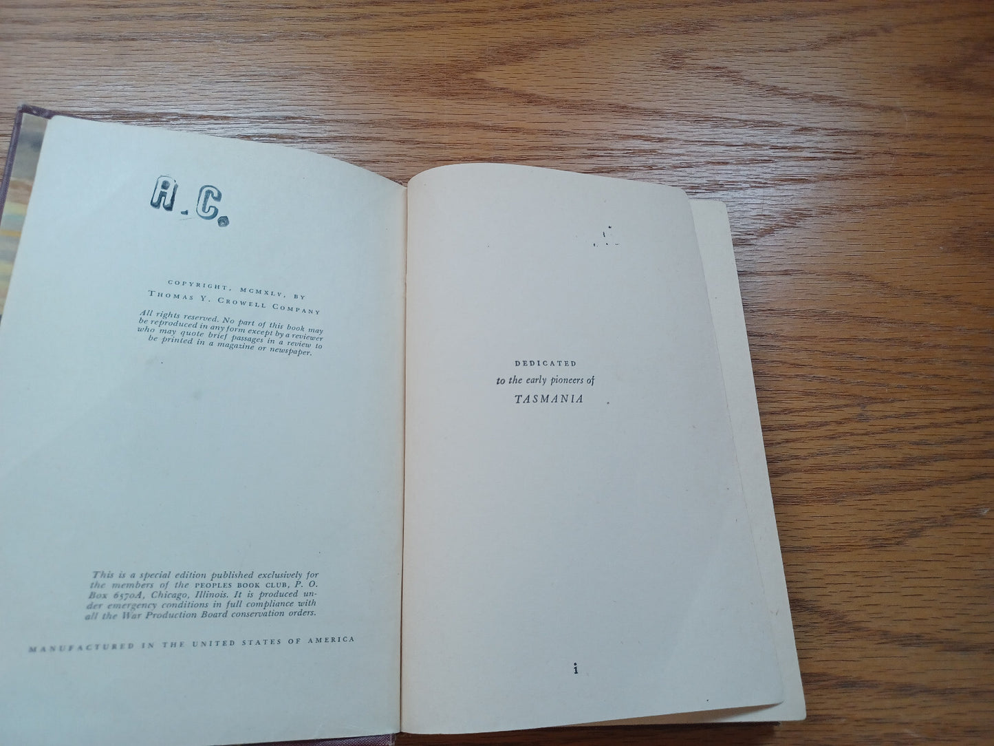 Image #8