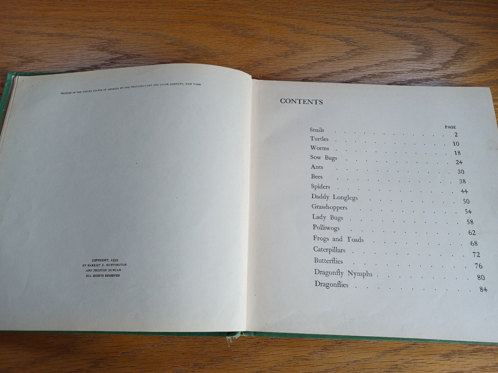 Image #8