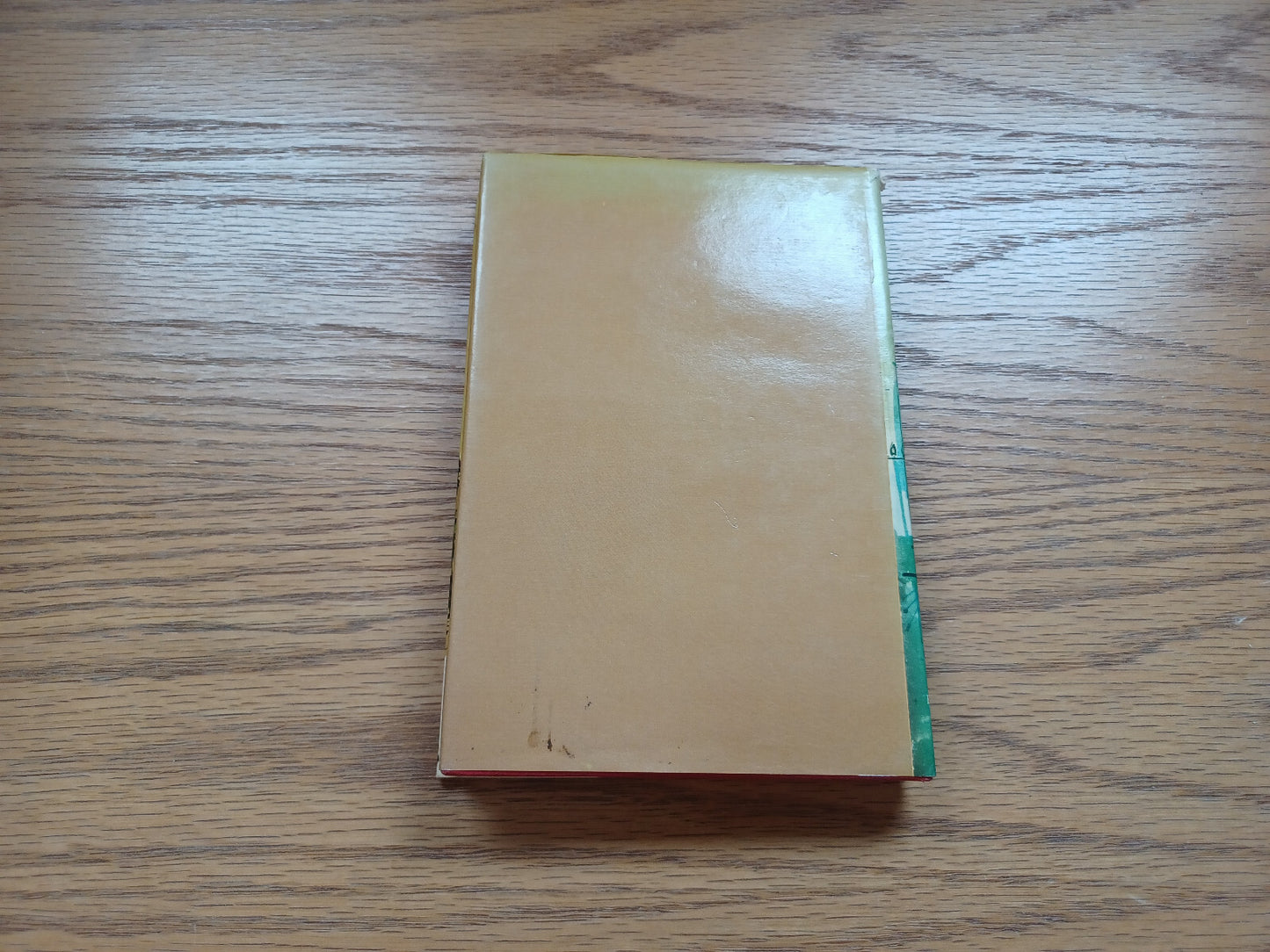 Image #6